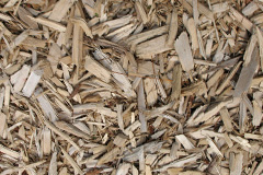 biomass boilers Tynan